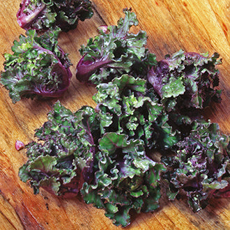KALETTES® Mixed F1