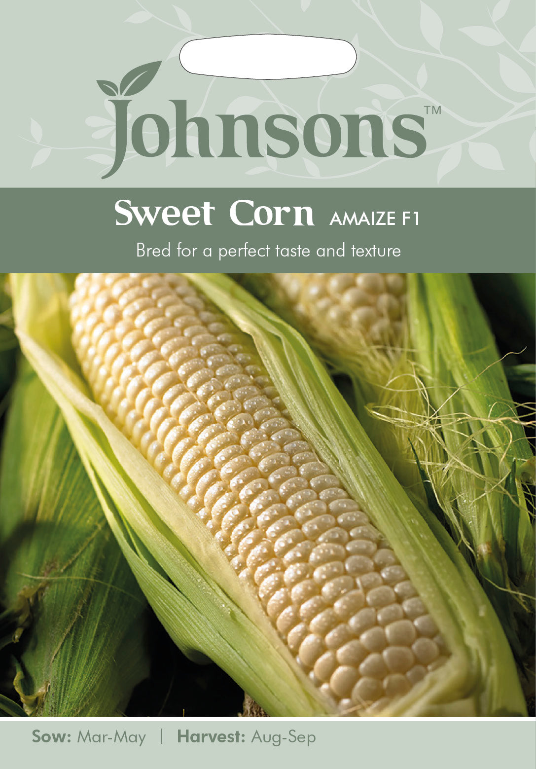 SWEET CORN Amaize F1