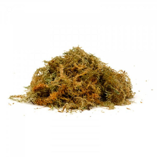 New Zealand Spaghum Moss Jumbo