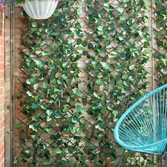 Lemon Leaf Willow Trellis 180X60Cm
