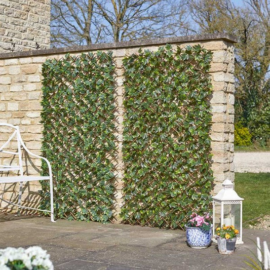 Maple Leaf Willow Trellis 180X60Cm