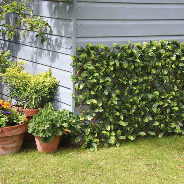 Maple Leaf Willow Trellis 180X60Cm