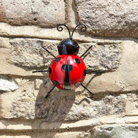 Ladybirds Medium