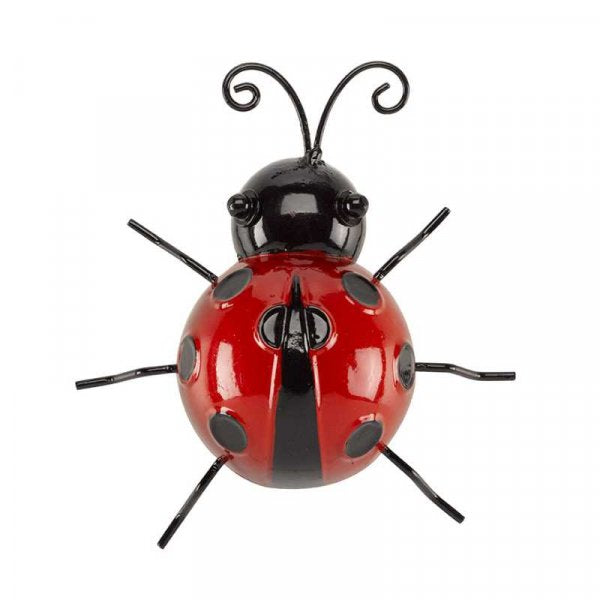 Ladybirds Medium