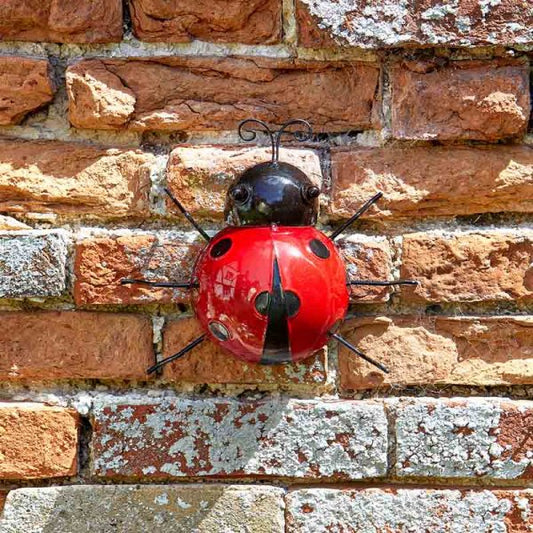 Ladybirds Large