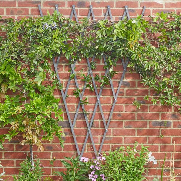Expanding Fan Trellis Tan 1.8Mx0.9M
