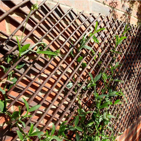 Expanding Willow Trellis 1.8Mx0.6M