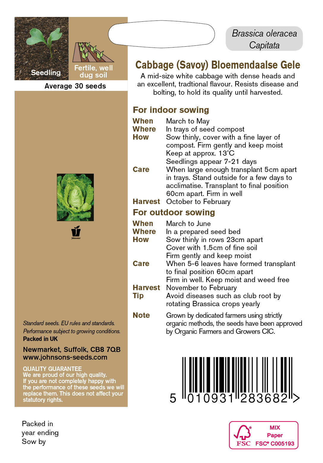 Organic CABBAGE Savoy Bloemendaalse Gele