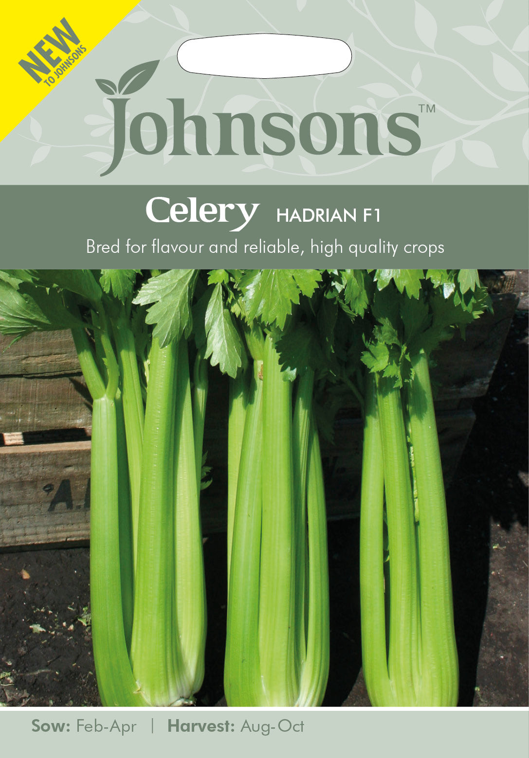 CELERY Hadrian F1