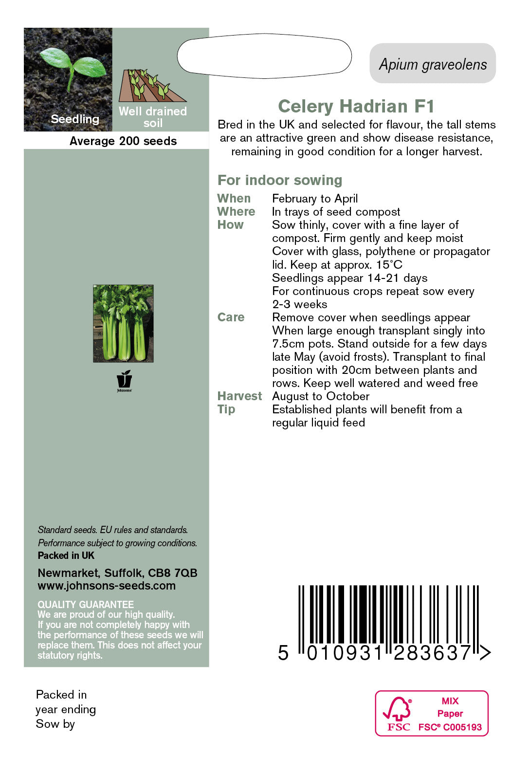 CELERY Hadrian F1