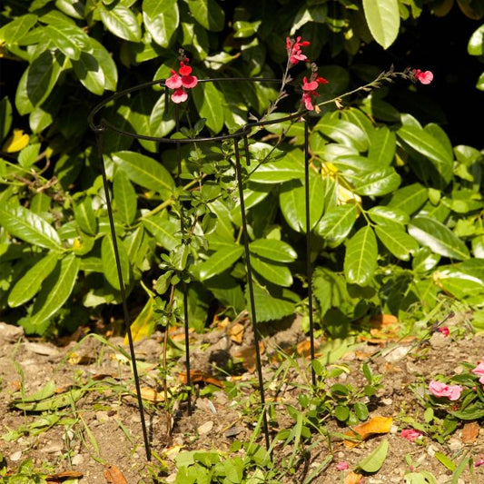 Gro Links 30Cm X 90Cm