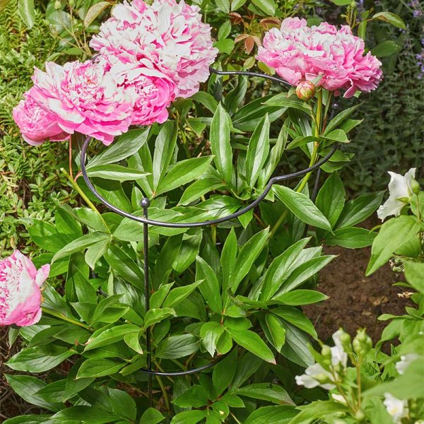 Gro Cone 30Cm With 75Cm Legs