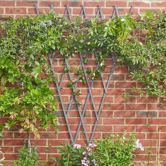 Expanding Fan Trellis Green 1.8Mx0.9M