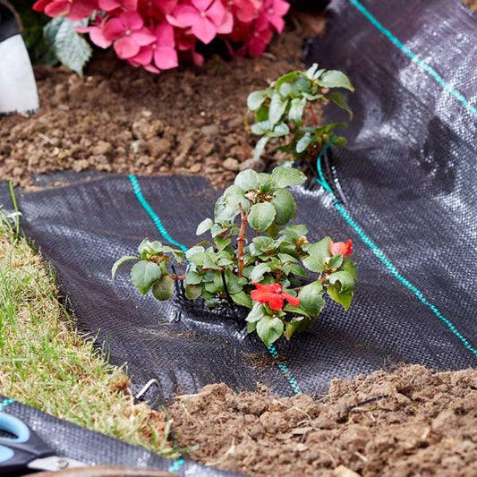 G100 Woven Anti Weed Fabric 15X1M