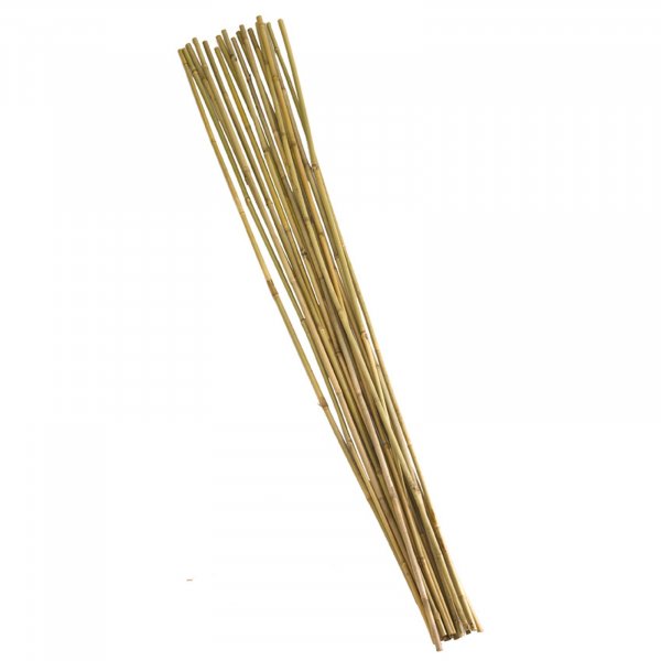 Bamboo Canes Extra Thick 150Cm 20Pk