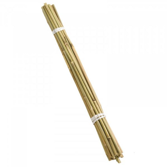 Bamboo Canes 90Cm 20Pk