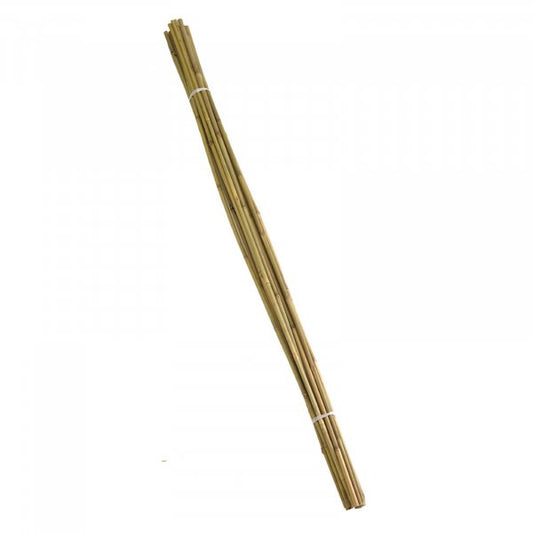Bamboo Canes Extra Thick 210Cm 10Pk