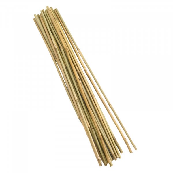 Bamboo Canes 120Cm 20Pk