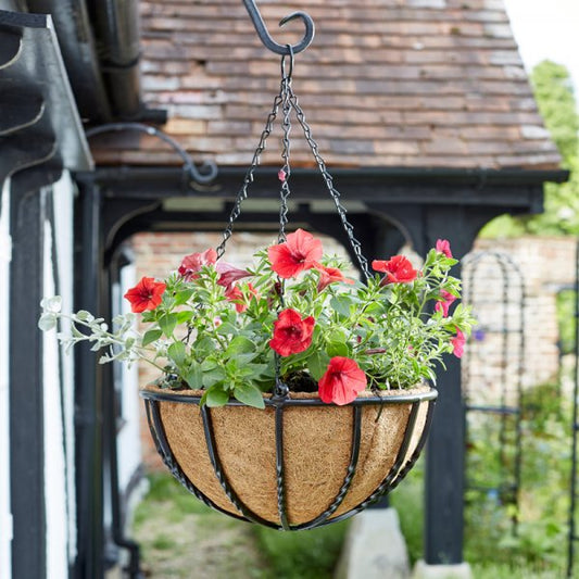 18In Forge Hanging Basket