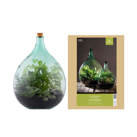 Terrarium Bottle 35L Set