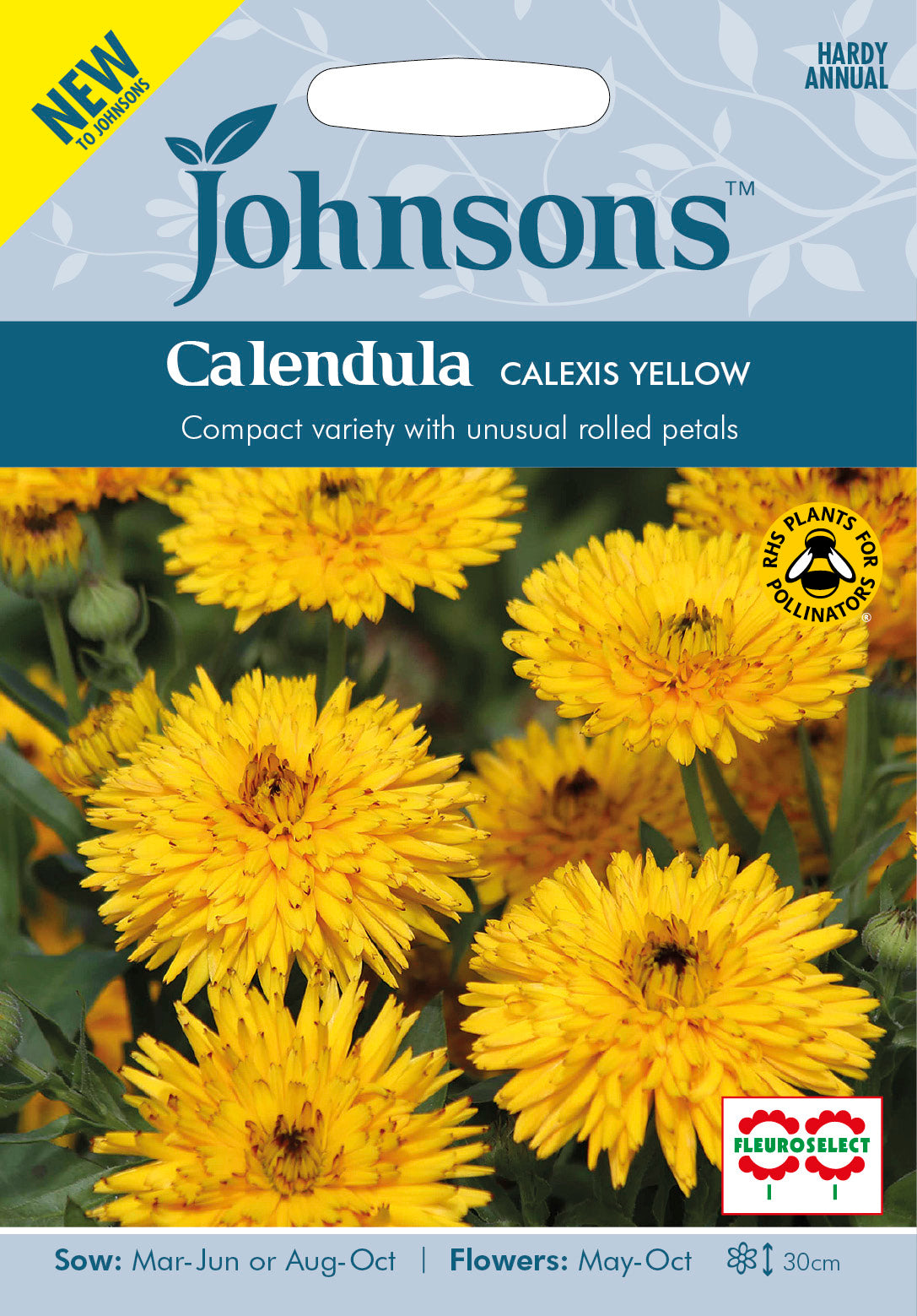 CALENDULA Calexis Yellow