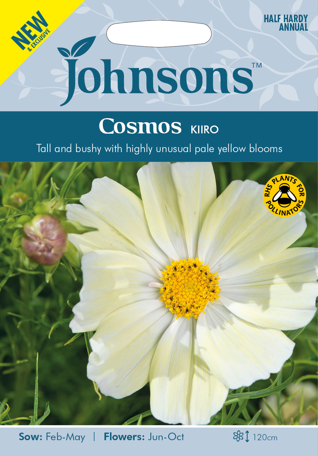 COSMOS Kiiro