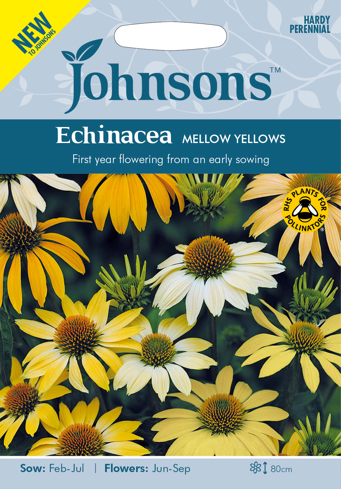 ECHINACEA Mellow Yellows