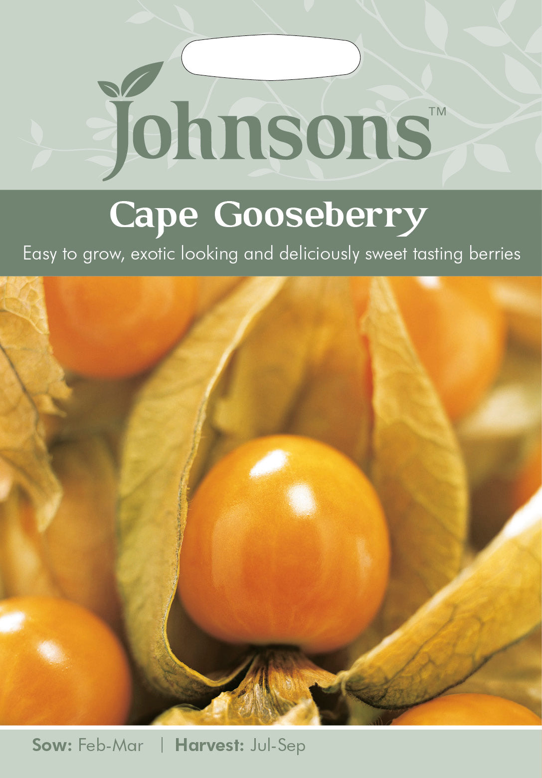 CAPE GOOSEBERRY Physalis peruviana