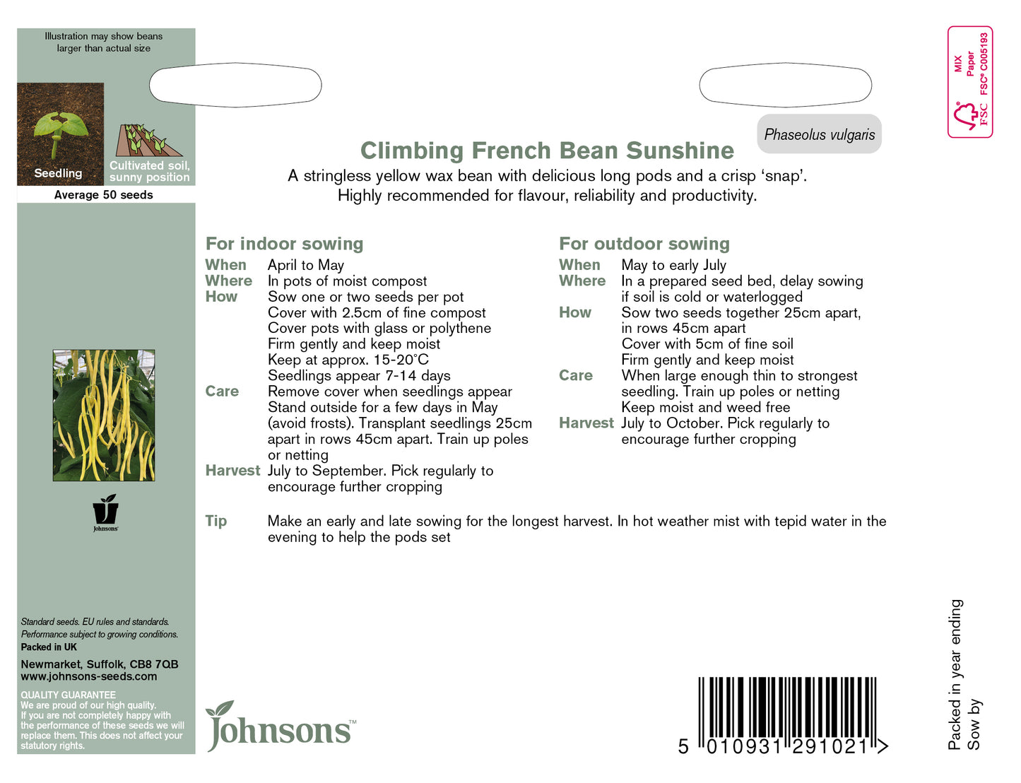 CLIMBING FRENCH BEAN Sunshine
