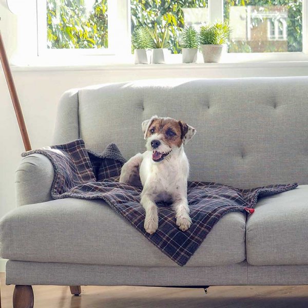 Plaid Comforter 70 X 100Cm