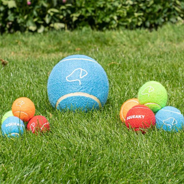 Pooch 5Cm Mini Tennis Balls 4-Pk