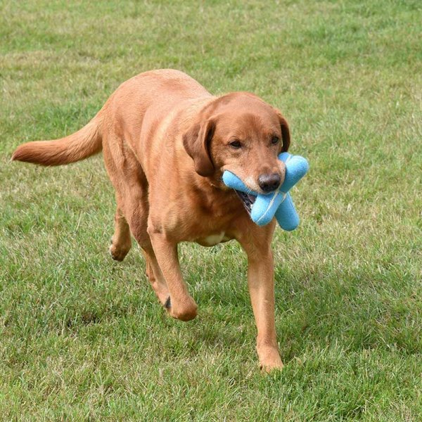 Squeaky Pooch Jack 15Cm