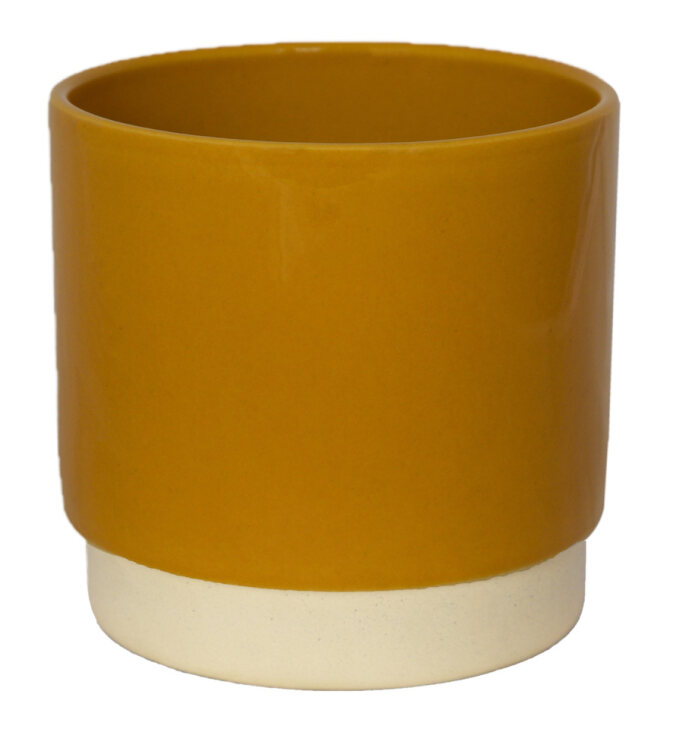Eno Pot Mustard D10Cm H10.5Cm