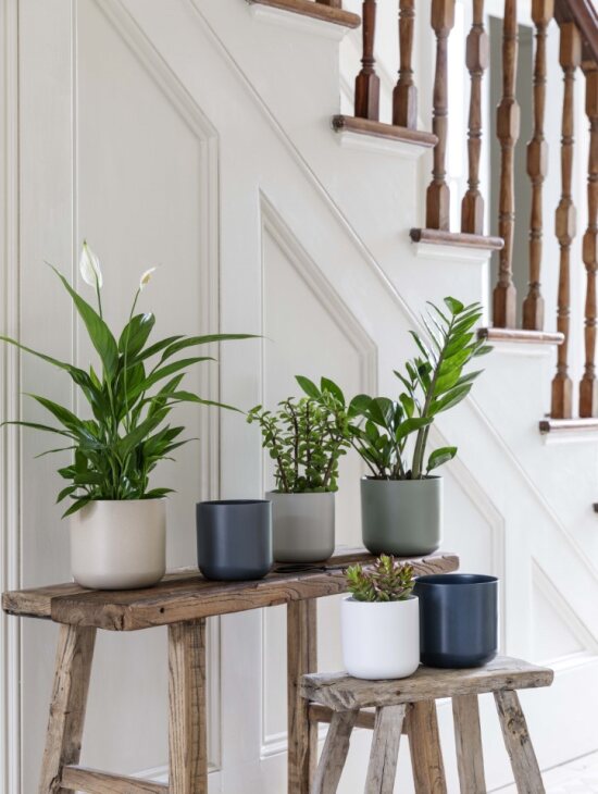 Lisbon Planter White D15Cm