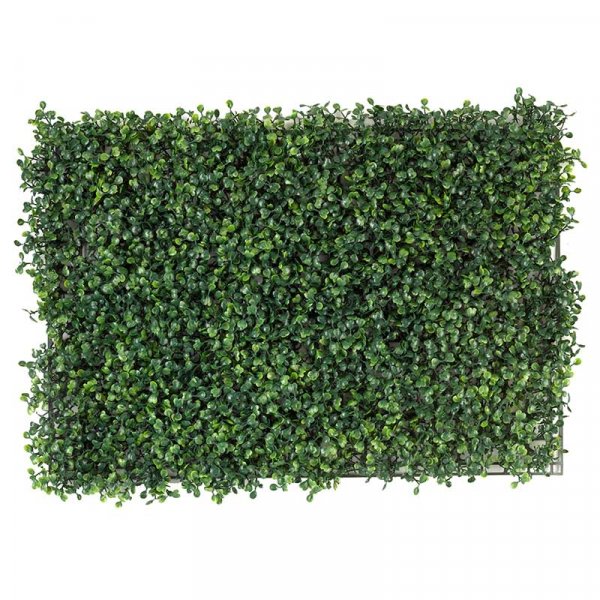 Boxwood Screening Panel 40X60Cm