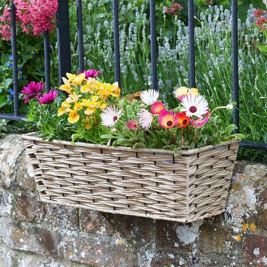 19In Bari Faux Rattan Planter Chestnut