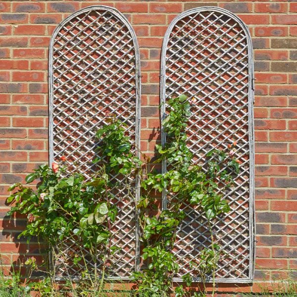 Framed Willow Trellis Round 1.8X0.60M