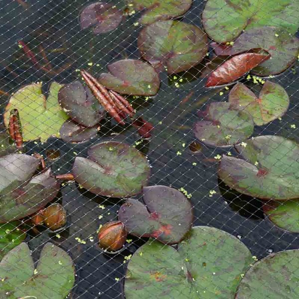 Pond & Fruit Netting Black 12Mm 2X5M