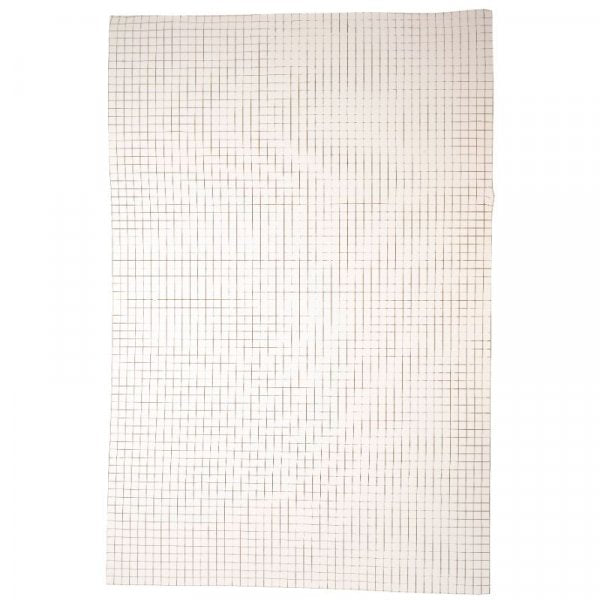 Weldmesh Roll 13Mm X 13Mm Mesh 1M X 5M
