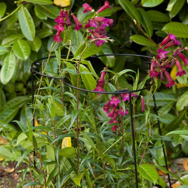 Flexi Ring 35Cm X 60Cm