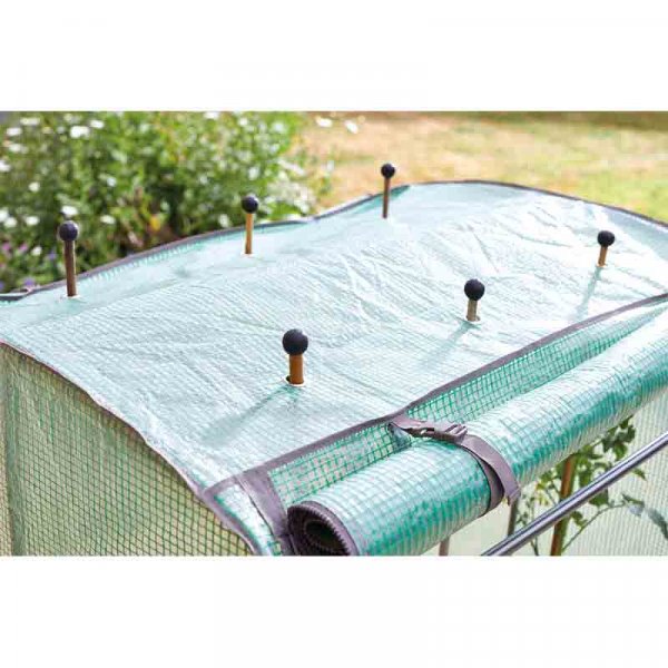 Tomato Grozone Max Double Sided