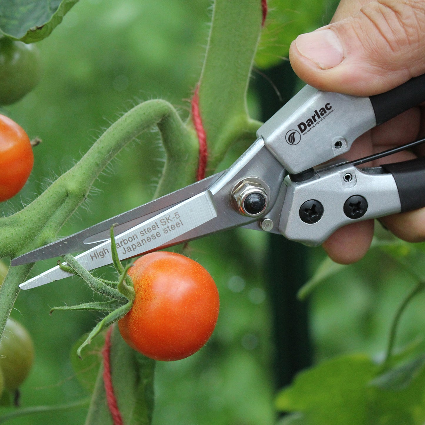 Compact Snips DP42