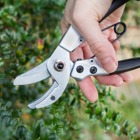 Compact Anvil Pruner DP45