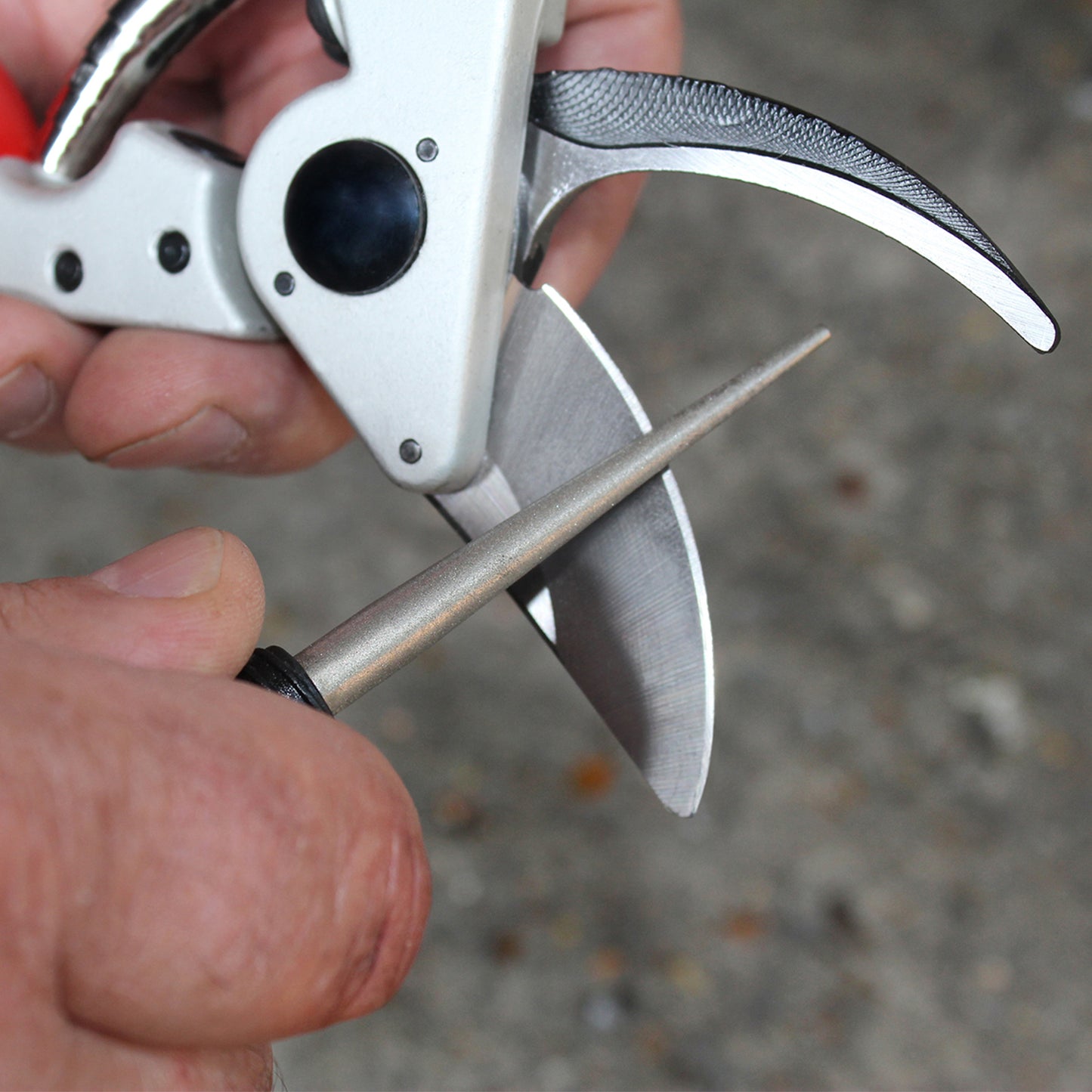 Tung Diamond Sharp DP102