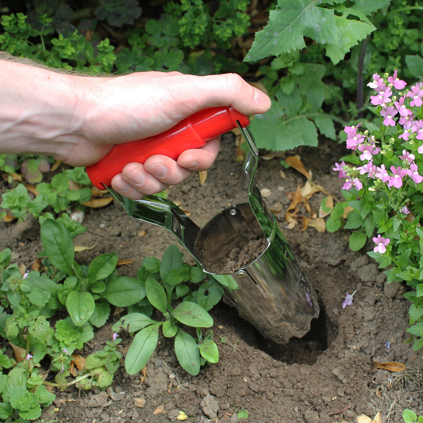 Hand Bulb Planter DP251
