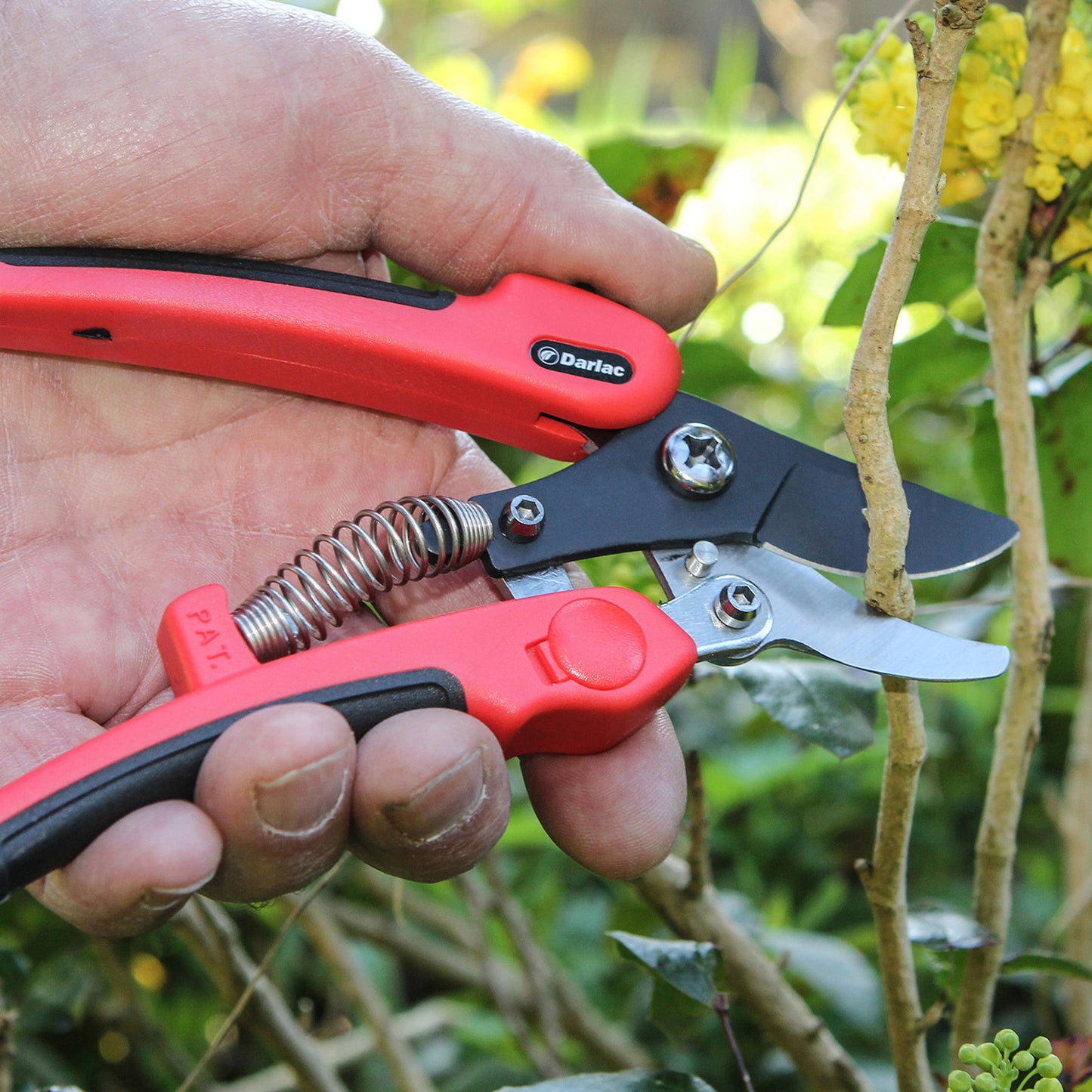 Compound Action Pruner DP332