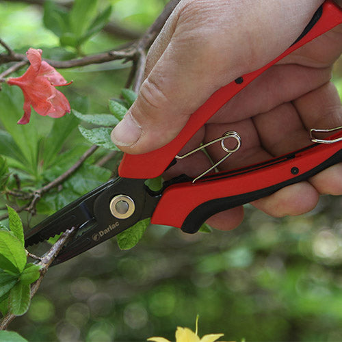 Cut-n-Hold Flower Snip DP636