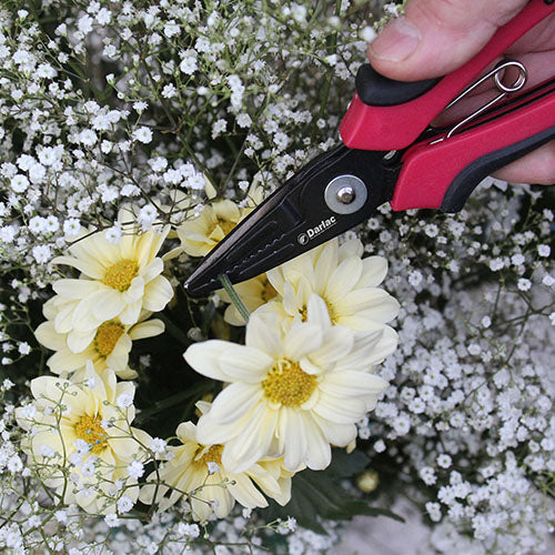 Cut-n-Hold Flower Snip DP636