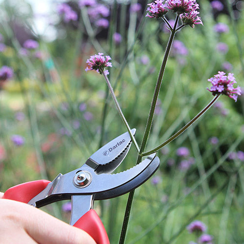 Cut-n-Hold Bypass Pruner DP736