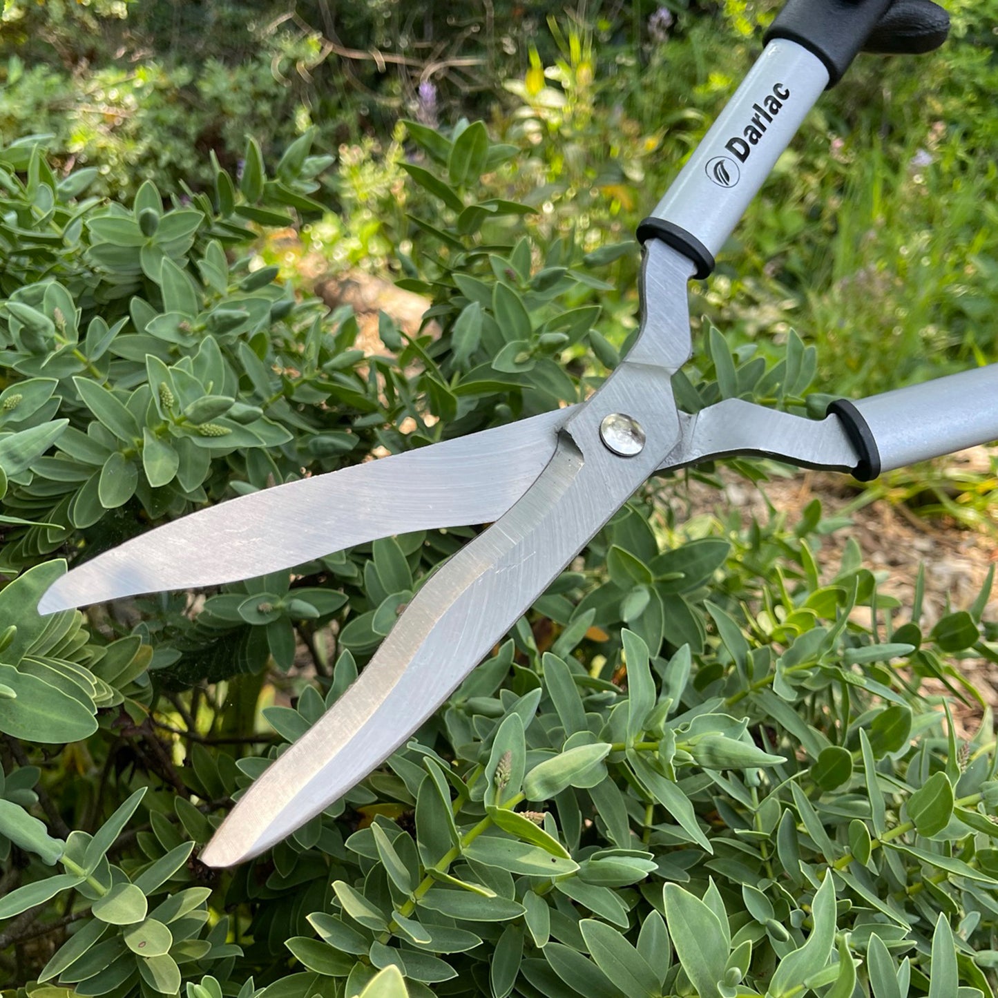 Lightweight Shear DP800